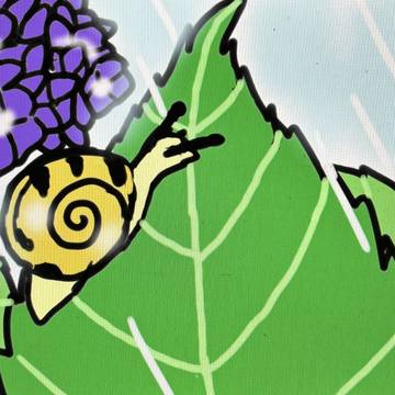 カタツムリと紫陽花🐌🌧️