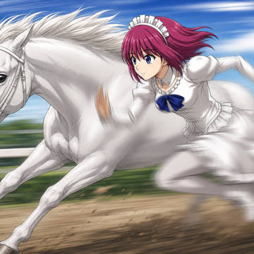 今日もクロスと馬が走る。