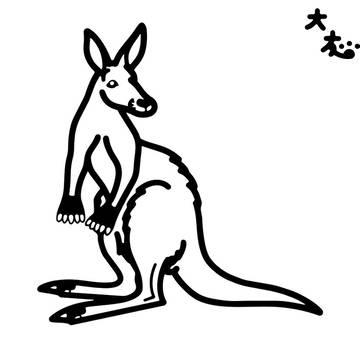 アカカンガルー