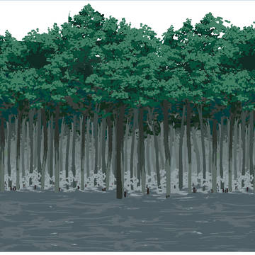 a forest full of spirits