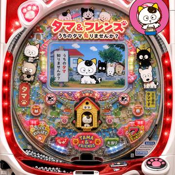 猫神家(81)政党 パチンコ うちのタマ知りませか?