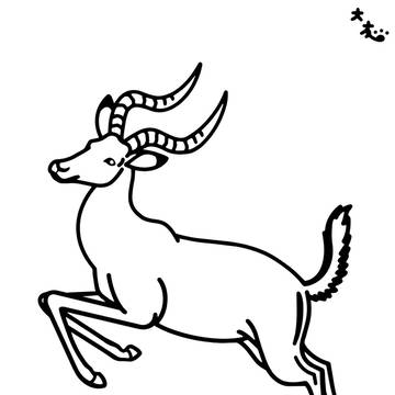 インパラ