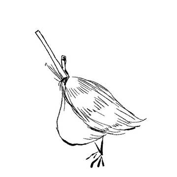 街の清掃員