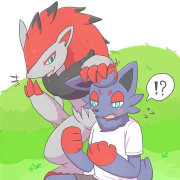 ゾロアTF