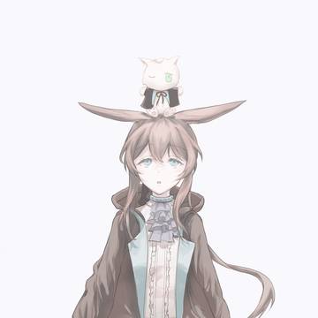 兔猫
