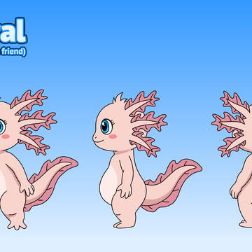 Coral the Axolotl - Angles