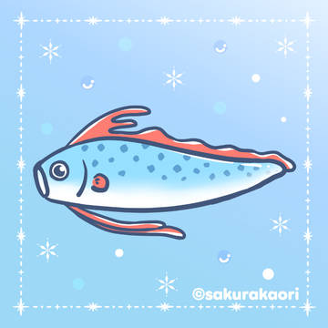 リュウグウノツカイ…☆
