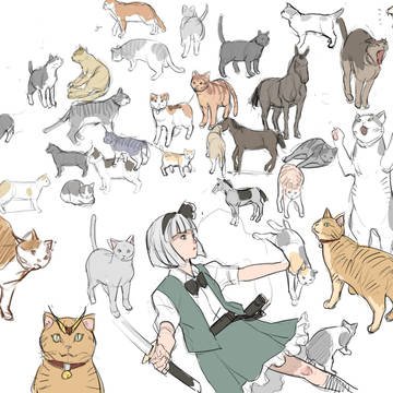ねこたくさん