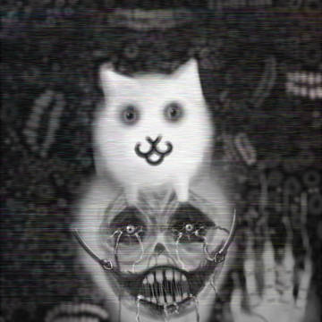 Meow~!