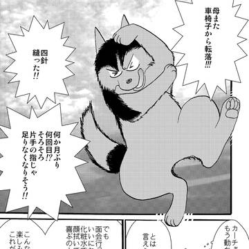 コミティア156チラシ再録