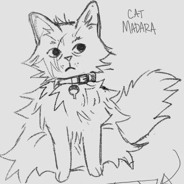 [MDTB] Madara Turns Into a Cat