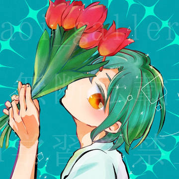 5本の赤いチューリップの花束