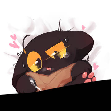 momo cat