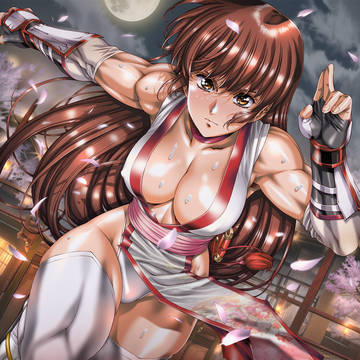 DOA6LR発売まであと2週間!