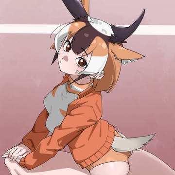 プロングホーン