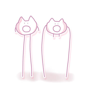猫代理