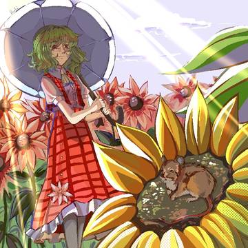 風見 幽香