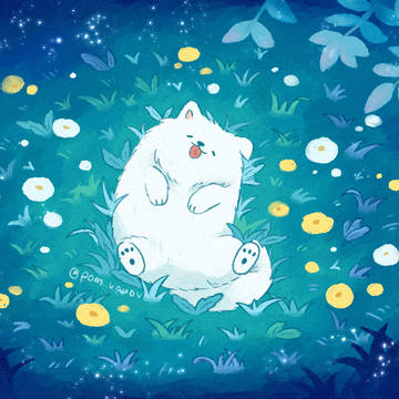Night grassfield Samoyed