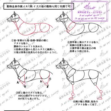 動物作画アタリ全身