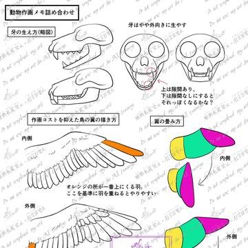 動物作画メモ詰め合わせ