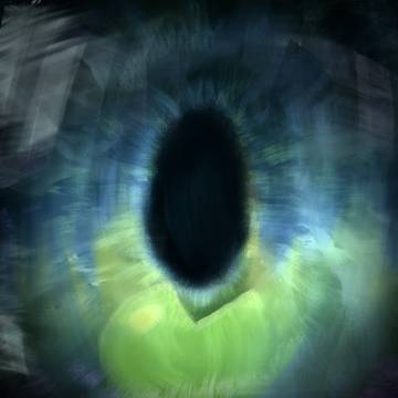 Lily's pupil closeup