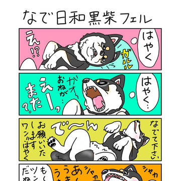 黒柴フェル7　４コマ　なでびより
