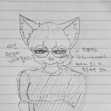 시퍼