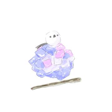 季節の和菓子とシマエナガ