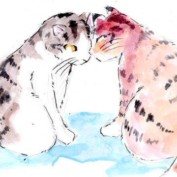 猫たちの日常