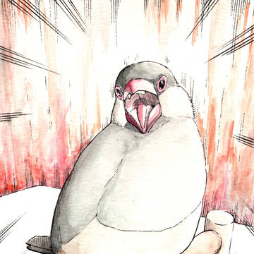 キャルル