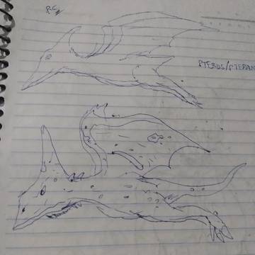 Pterus e Pteranodon