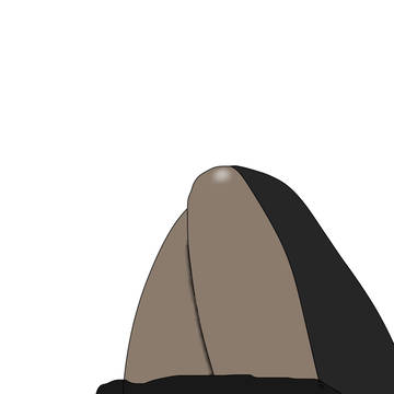 ふともも
