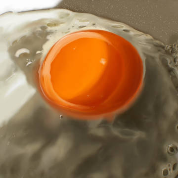 Egg