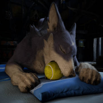 Nom
