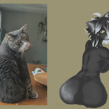 猫猫屁屁