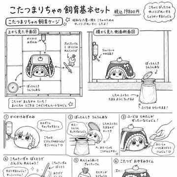 こたつまりちゃ①
