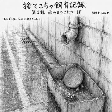 こたつまりちゃ②