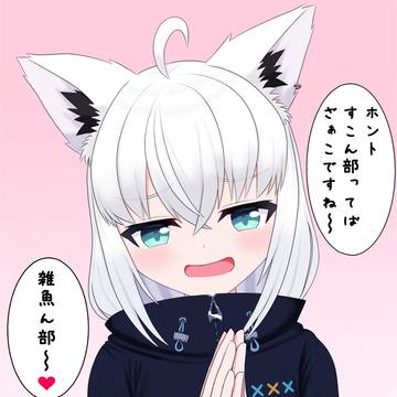 アオリキング