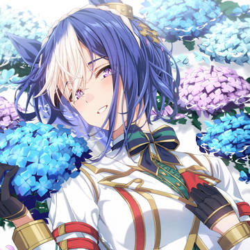 紫陽花とシーザリオ
