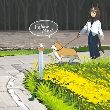 散歩に行くよ!