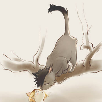 【まとめ】黒研|ネコと黒研 🐈⬛🐈