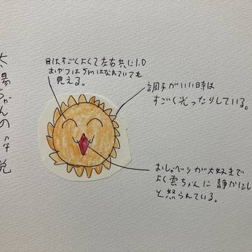 太陽ちゃんの解説