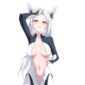 Cute fox