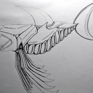 魚系