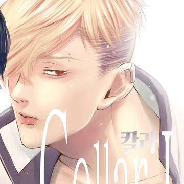 collar韓国版
