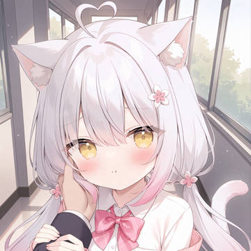 不许摸猫猫!