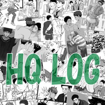 HQ LOG 41