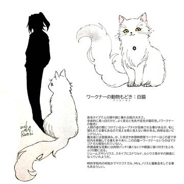 【竜ウィザ】設定3