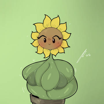 sunflower2