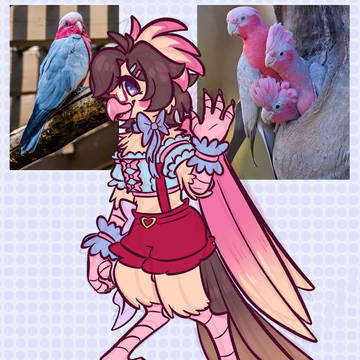 NekoHiko as Avian!